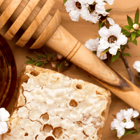 The 9 benefits of Manuka honey