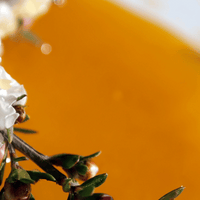 What is Manuka Honey